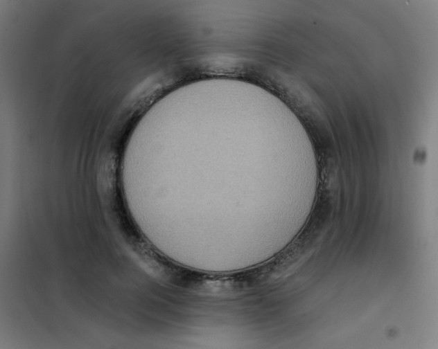 X0000101430744200808041151