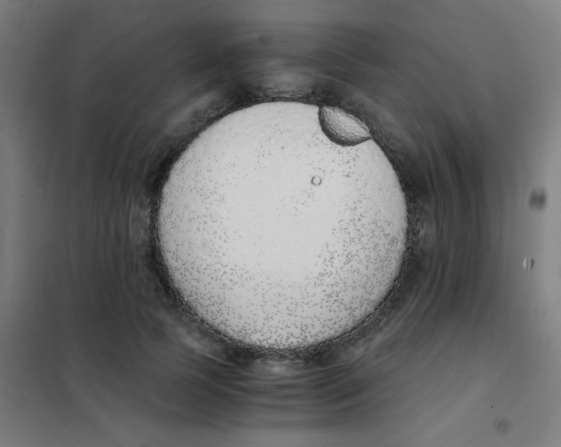 X0000101430745200808041151