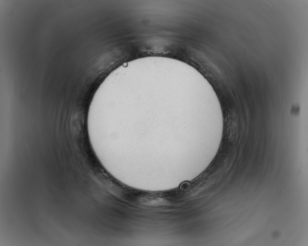 X0000101430747200808041151