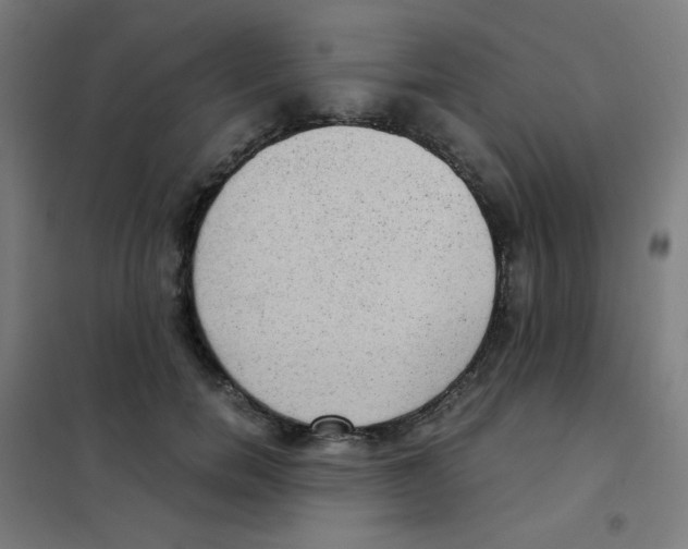 X0000101430750200808041151