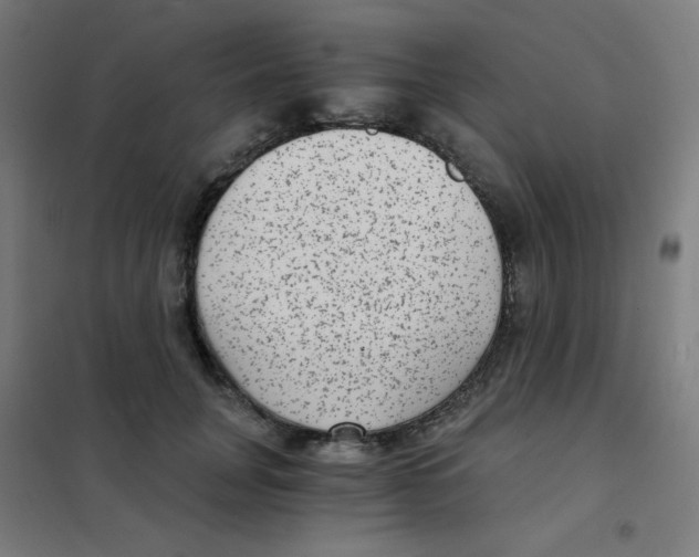 X0000101430751200808041151