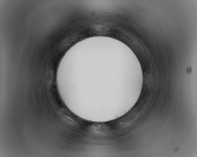 X0000101430752200808041151