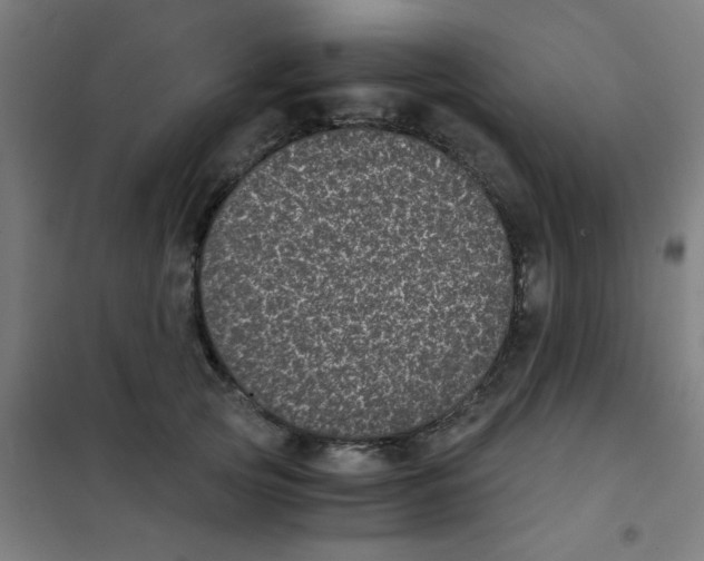 X0000101430753200808041151