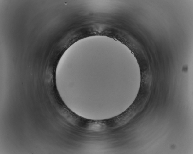 X0000101430754200808041151