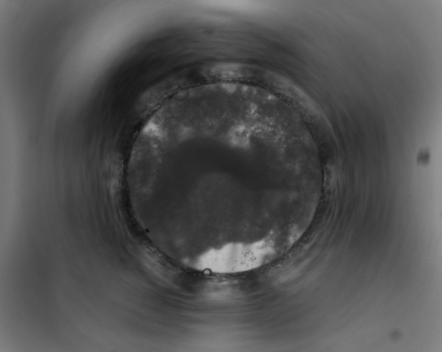 X0000101430760200808041151