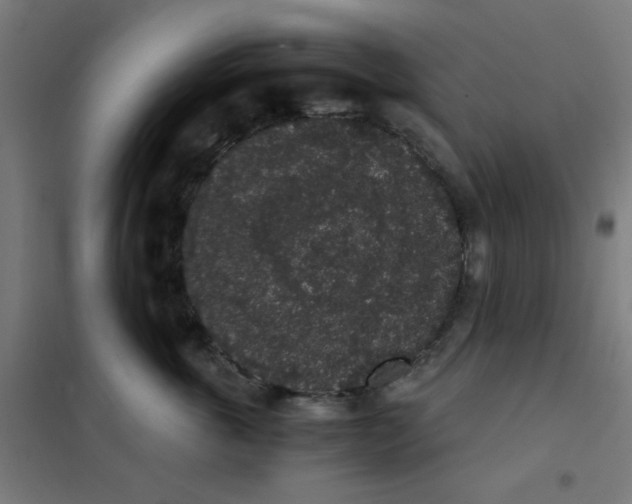 X0000101430763200808041151