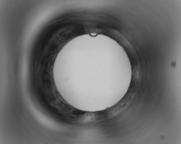 X0000101430764200808041151