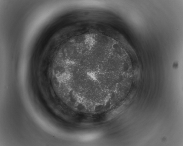 X0000101430765200808041151