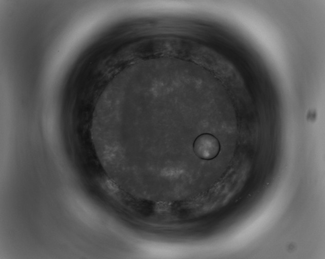 X0000101430766200808041151