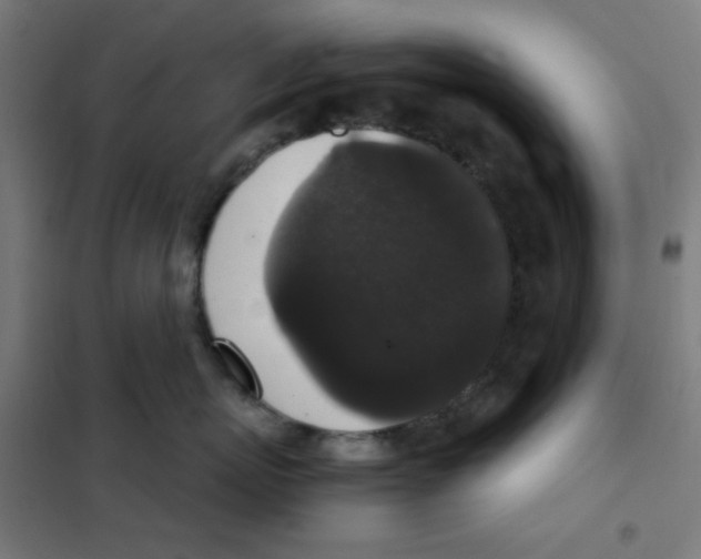 X0000101430767200808041151