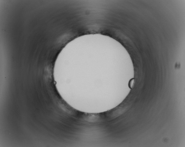 X0000101430768200808041151