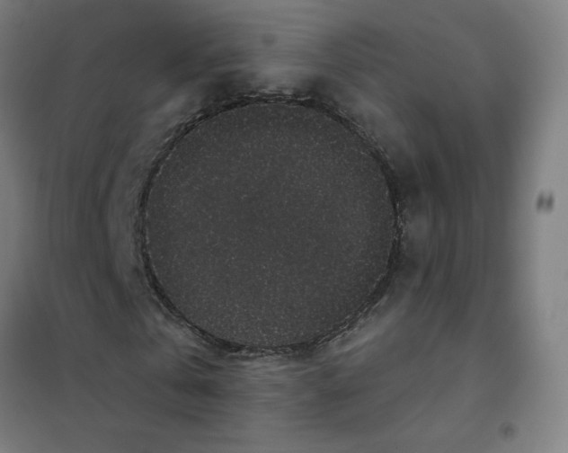 X0000101430769200808041151