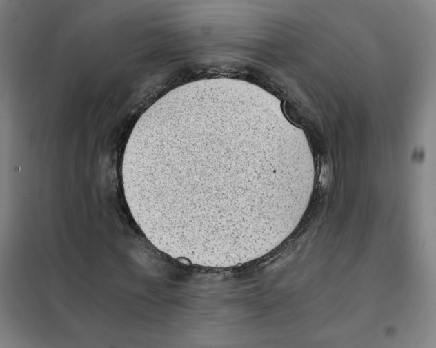 X0000101430771200808041151