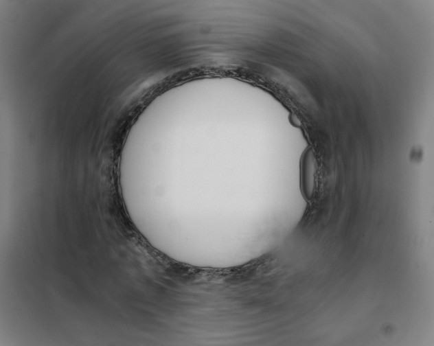 X0000101430773200808041151