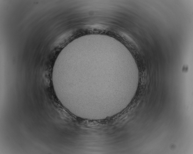 X0000101430774200808041151