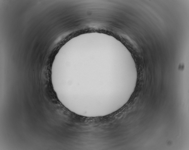 X0000101430776200808041150