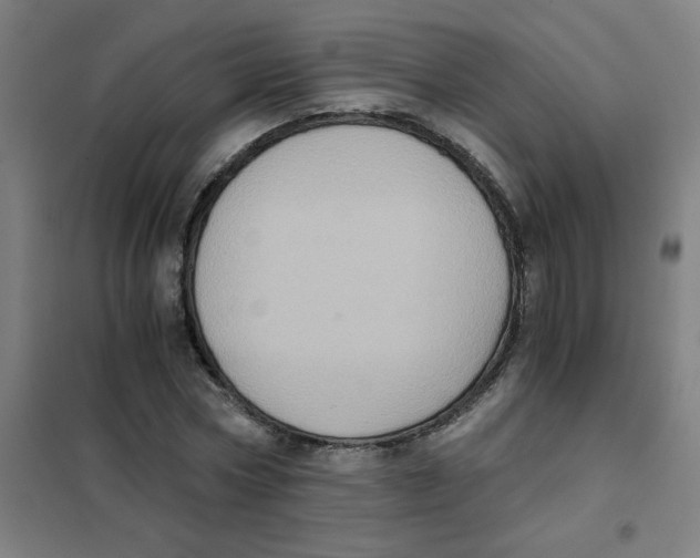 X0000101430778200808041150