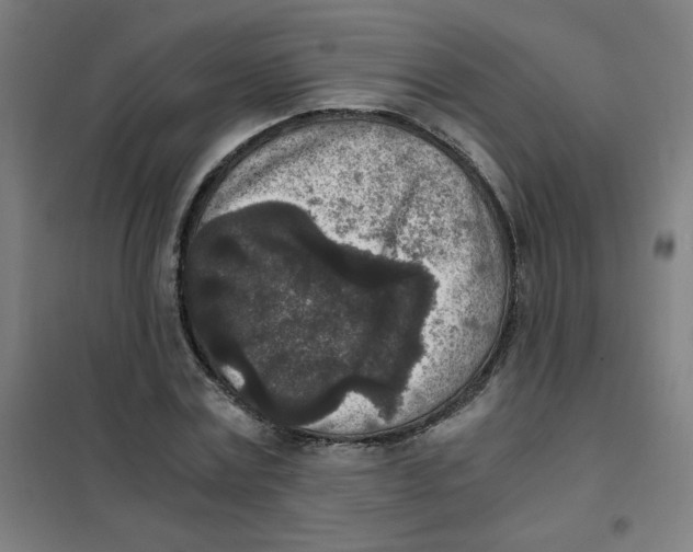 X0000101430779200808041150