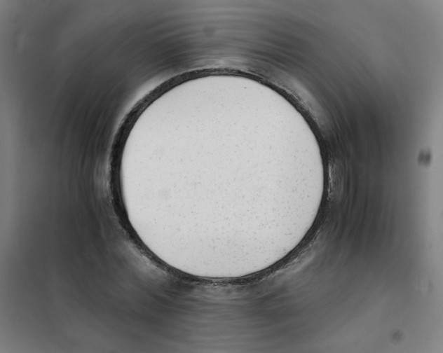 X0000101430780200808041150