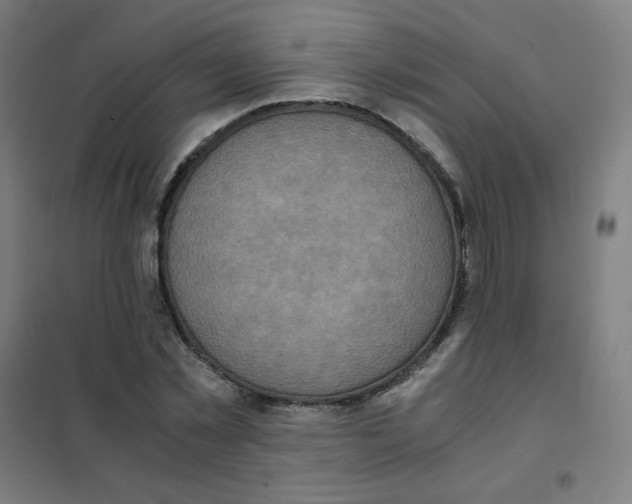 X0000101430781200808041150