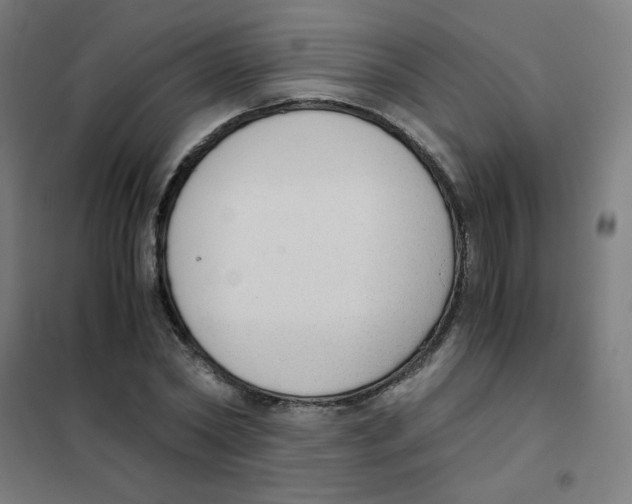 X0000101430782200808041150