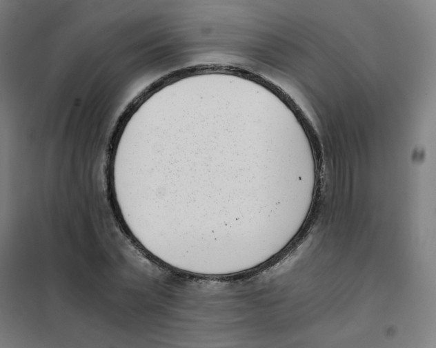 X0000101430783200808041150