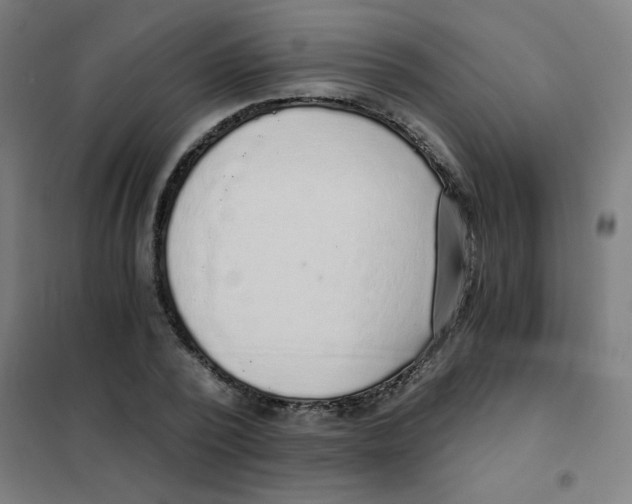 X0000101430784200808041150