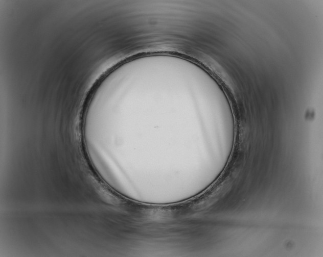 X0000101430789200808041150