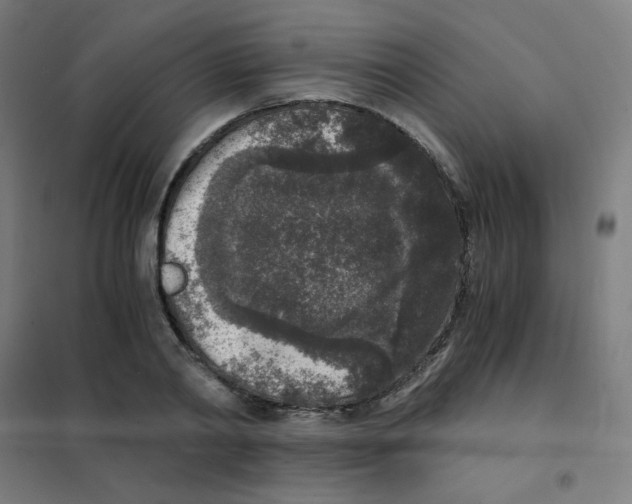 X0000101430790200808041150