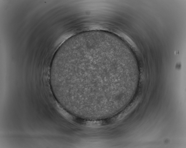 X0000101430793200808041150