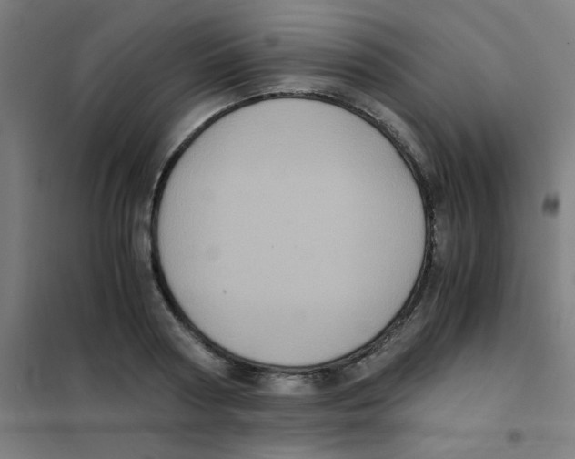 X0000101430794200808041150