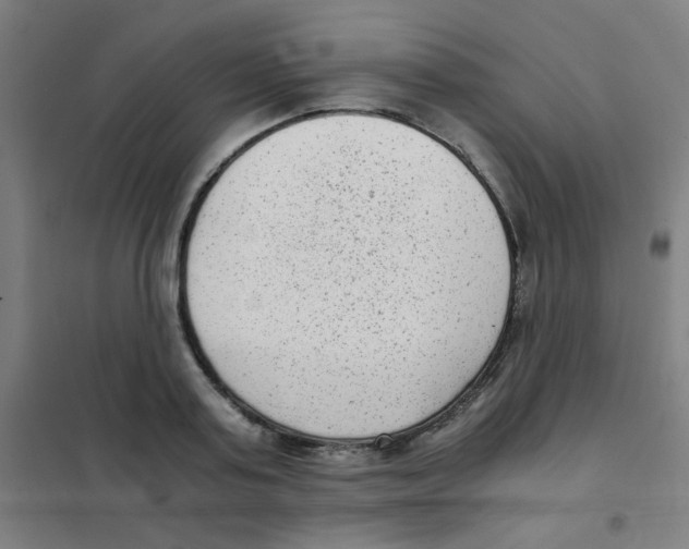 X0000101430795200808041150