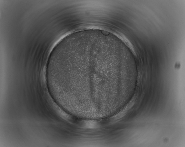 X0000101430798200808041150