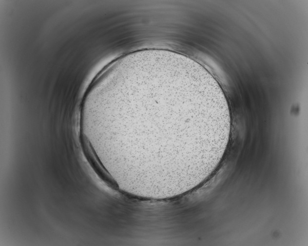 X0000101430804200808041150