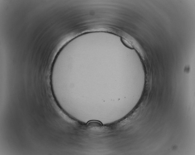 X0000101430805200808041150