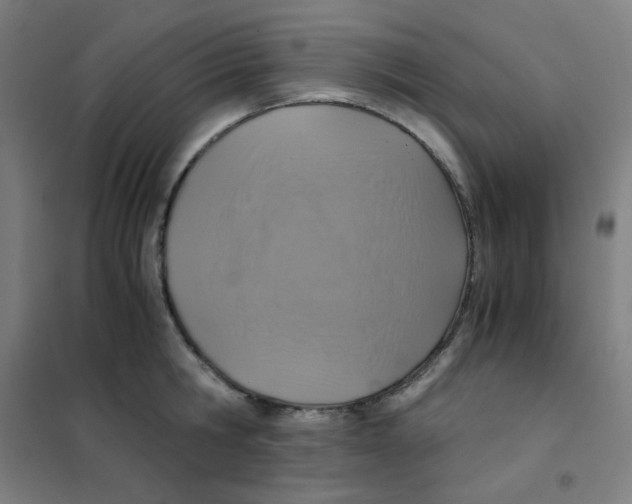 X0000101430806200808041150