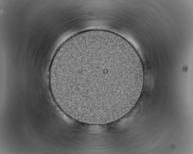 X0000101430807200808041150