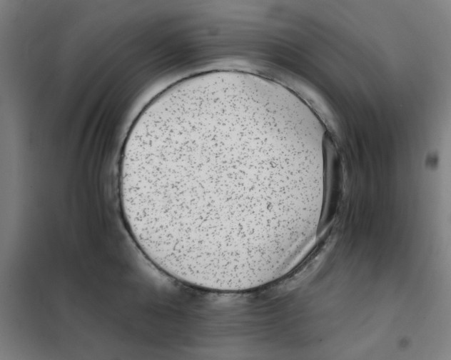 X0000101430808200808041150