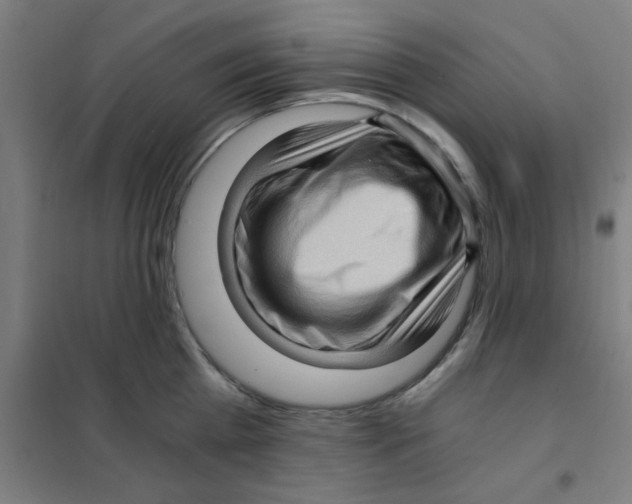 X0000101430809200808041150