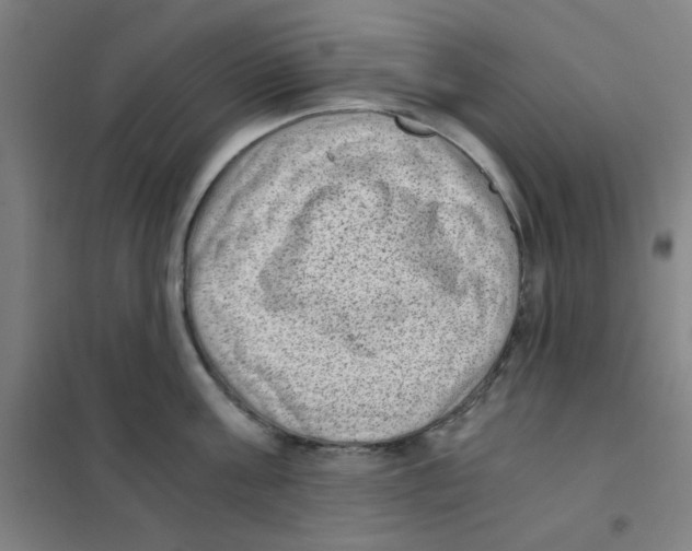 X0000101430811200808041150