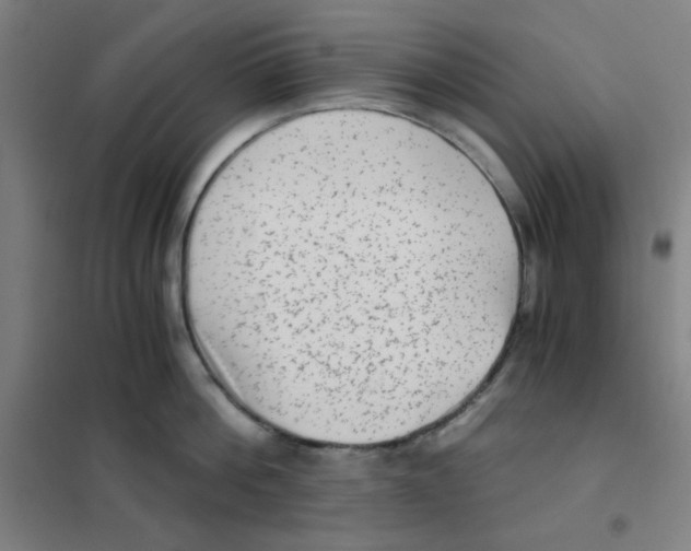 X0000101430812200808041150