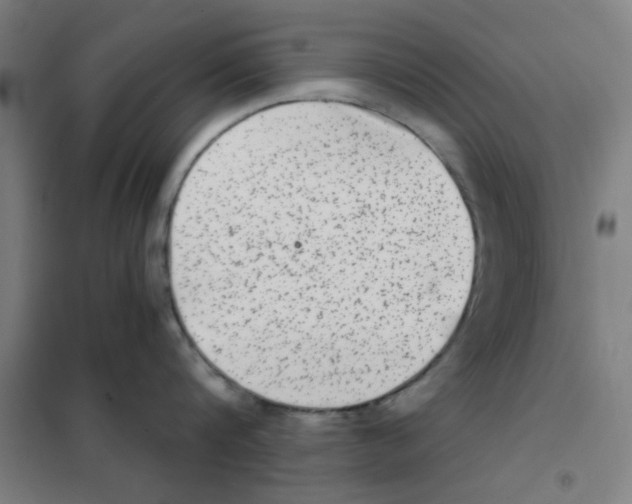 X0000101430816200808041150