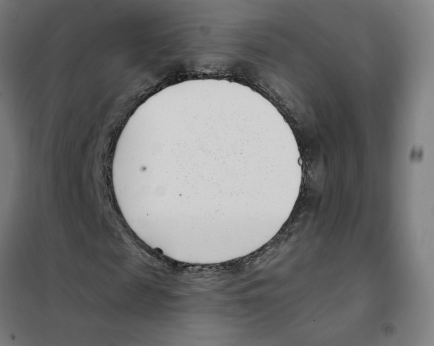 X0000101430817200808041149