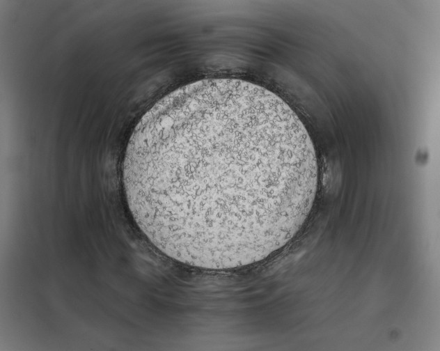 X0000101430819200808041149