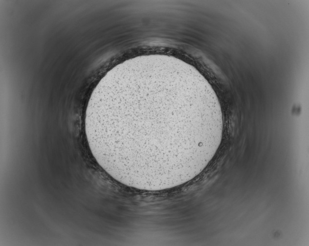 X0000101430821200808041149