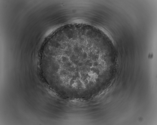 X0000101430823200808041149