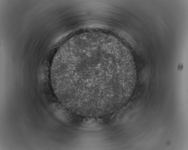 X0000101430824200808041149