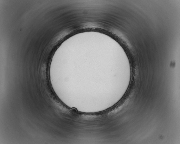 X0000101430825200808041149