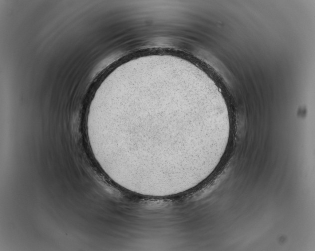 X0000101430826200808041149