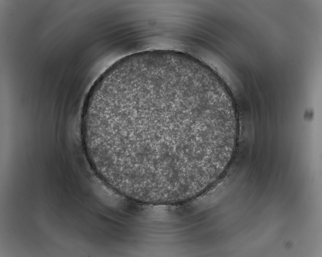 X0000101430828200808041149